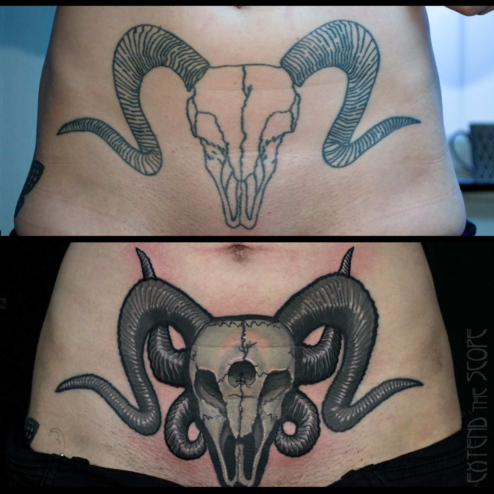 Cover-Up-Tattoo Touch-Up Tattoorettung Widderschädel schwarzgrau Bauch Extend the Scope Göttingen