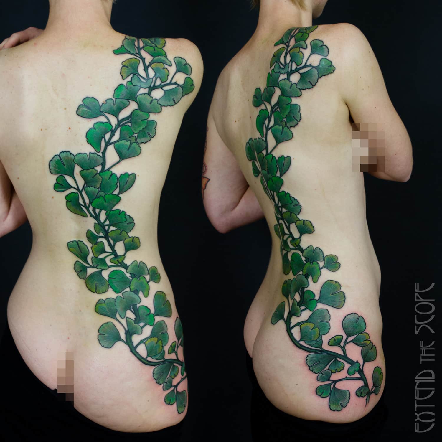Gingko-Blätter, botanic-Tattoo, Cover-Up freihand Extend the Scope Göttingen
