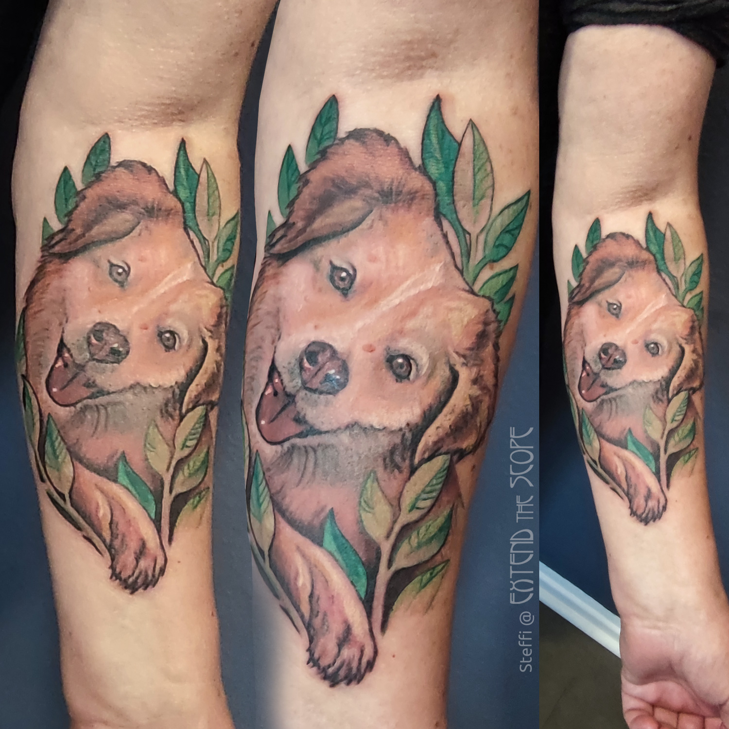 Portrait Hundeportrait Farbtattoo