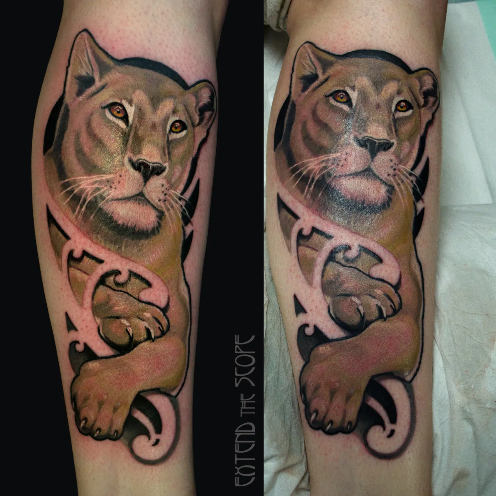 Extend the Scope vereint Tätowierkunst mit Medical Beauty, um deine Haut zu verwandeln und dein Inneres mit deinem Äußeren (wieder) in Einklang zu bringen. Halbrealismus Farbrealismus Neotraditional Tattoo Göttingen