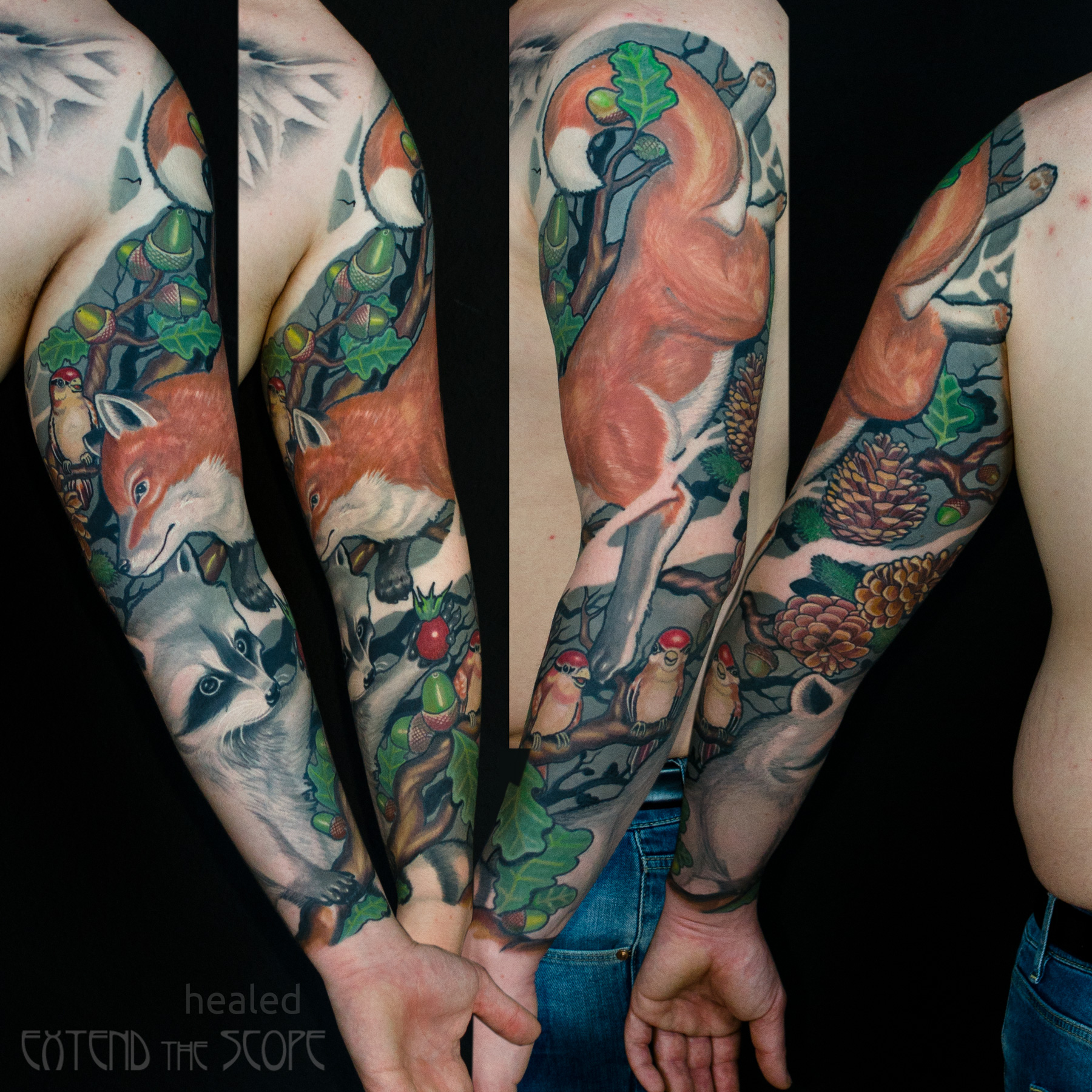 Waldarm Fullsleeve Fuchs Waschbär Vögel Neotraditional illustrativ Extend the Scope Tattoo Göttingen