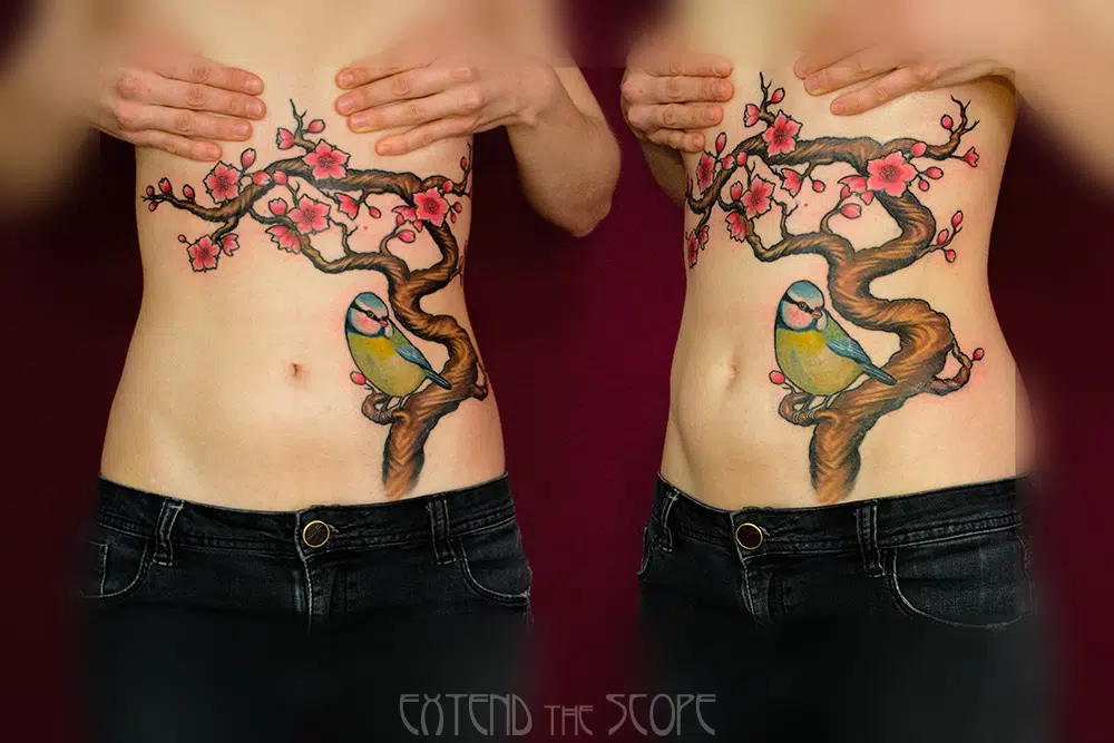 Scarcover Narben-Cover-Up Kirschblüten Meise Extend the Scope Tattoo Göttingen